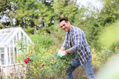 Professional stump grinding in a narrow side access area in Mitcham
