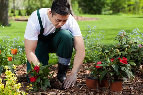 Commercial stump grinding for a maintained outdoor area near Mitcham