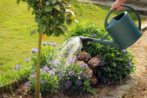 Local team carrying out hedge maintenance on a front garden hedge